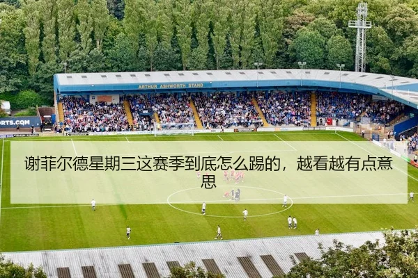 谢菲尔德星期三这赛季到底怎么踢的，越看越有点意思