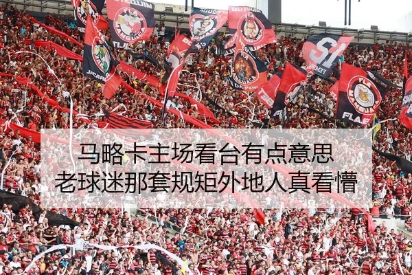 ma-lve-ka-zhu-chang-kan-tai-you-dian-yi-si-lao-qiu-mi-na-tao-gui-ju-wai-di-ren-zhen-kan-meng-2-387.jpg