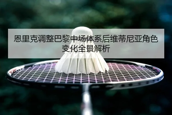 恩里克调整巴黎中场体系后维蒂尼亚角色变化全景解析
