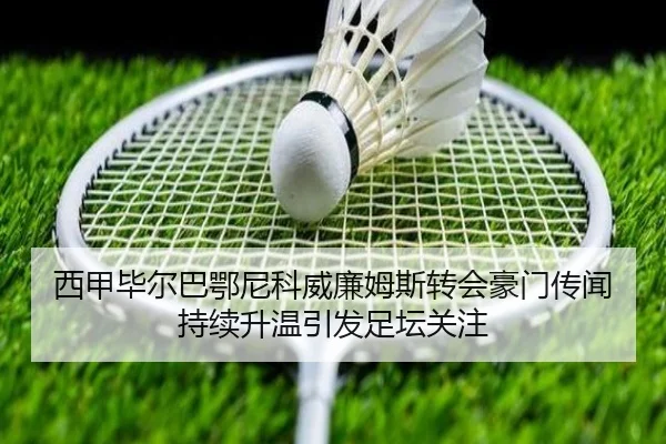 img_1780605248207_1292_1_441.jpg
