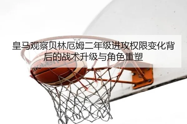 img_1782303765587_719_1_907.jpg